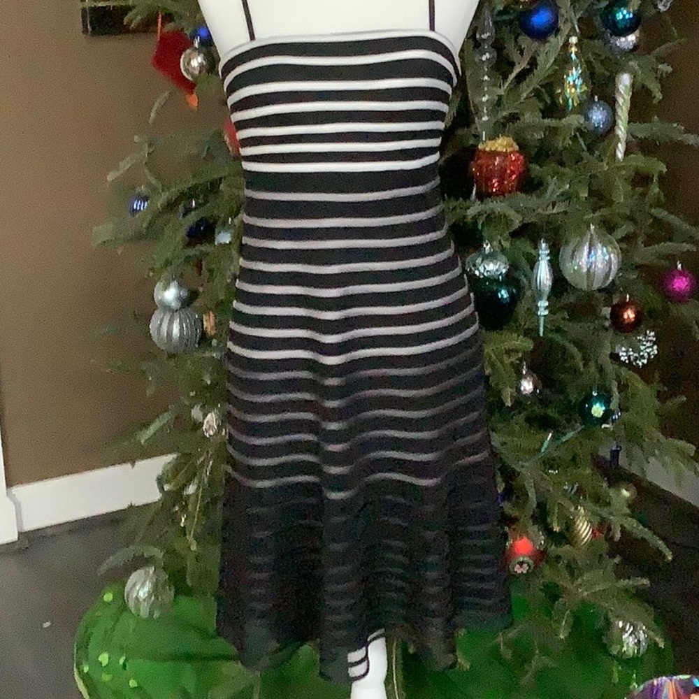 New White House Black Market Striped Dress